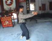 bai he quan bai he quan